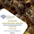 EL CONCELLO DE NARÓN COLABORA EN UN CURSO DE REPRODUCCIÓN APÍCOLA DE BALDE PARA A VECIÑANZA